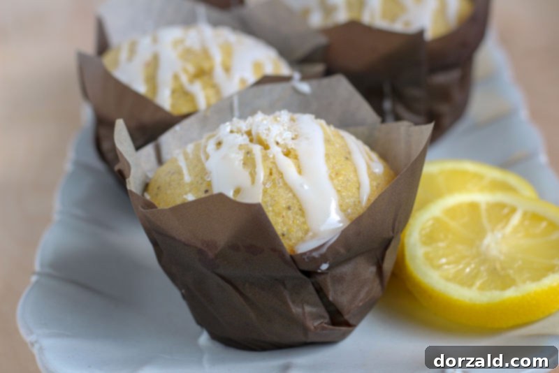 Sunshine Lemon Poppy Seed Vegan Cornbread Muffins 3 vegan lemon poppy seed cornbread muffins
