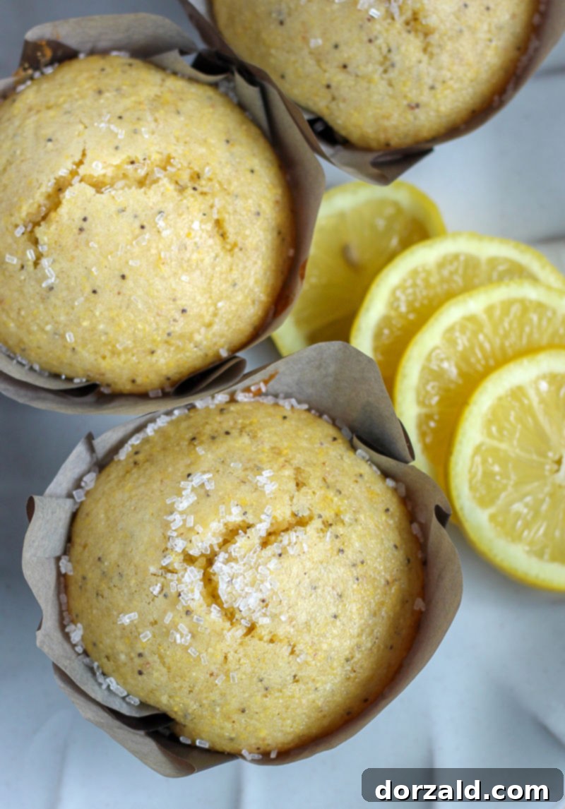 Sunshine Lemon Poppy Seed Vegan Cornbread Muffins 4 img 5770 3