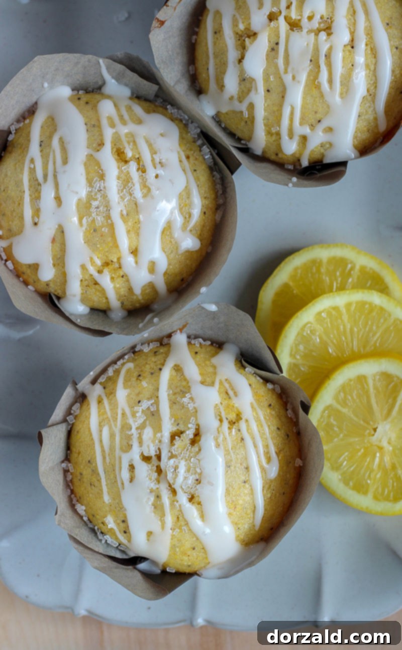 Sunshine Lemon Poppy Seed Vegan Cornbread Muffins 5 img 5770 4