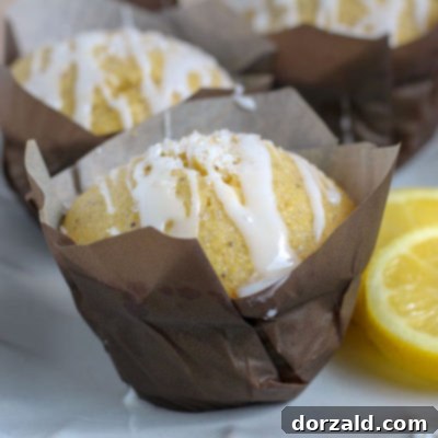 Sunshine Lemon Poppy Seed Vegan Cornbread Muffins 6 img 5770 5