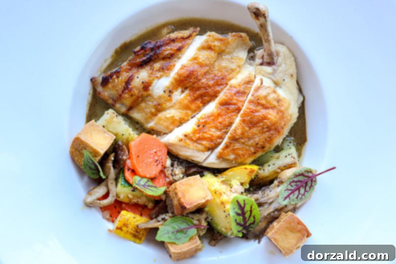 Mot Hai Ba Chicken Green Curry - Close-up of Dallas Vietnamese Dish