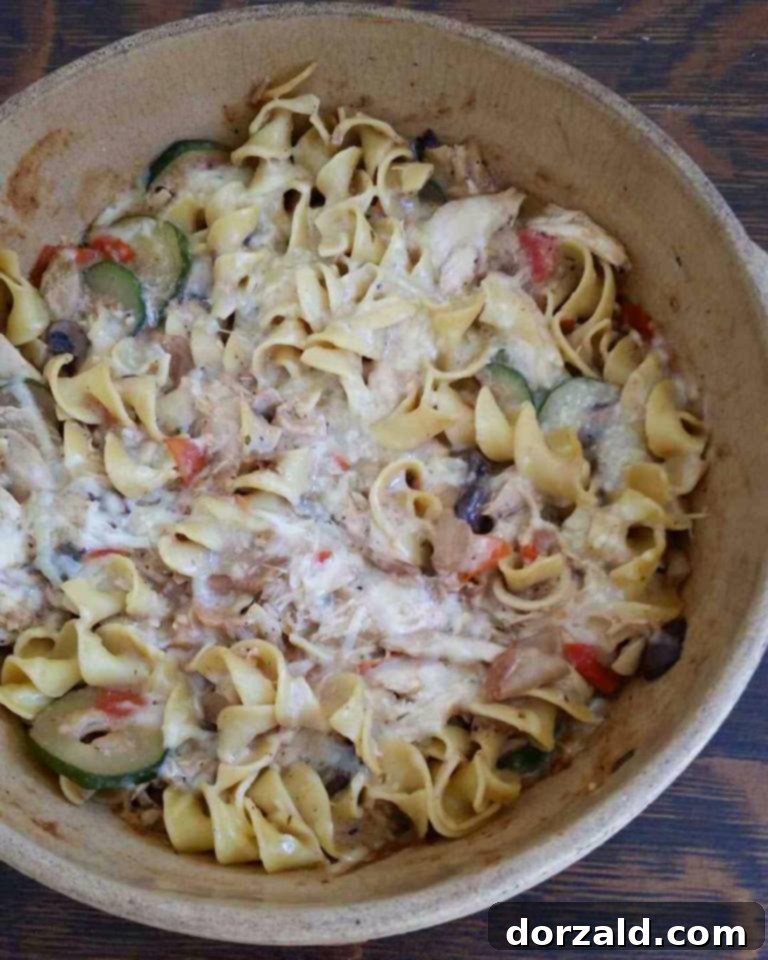 non-dairy creamy chicken vegetable pasta