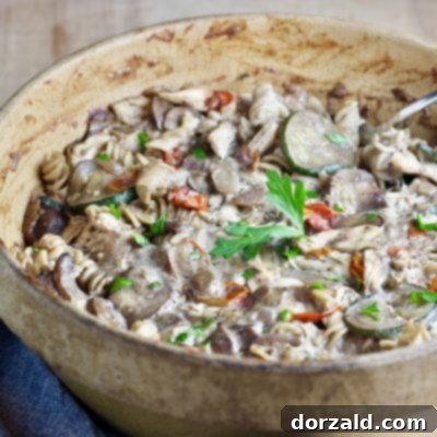 non-dairy creamy vegetable chicken pasta