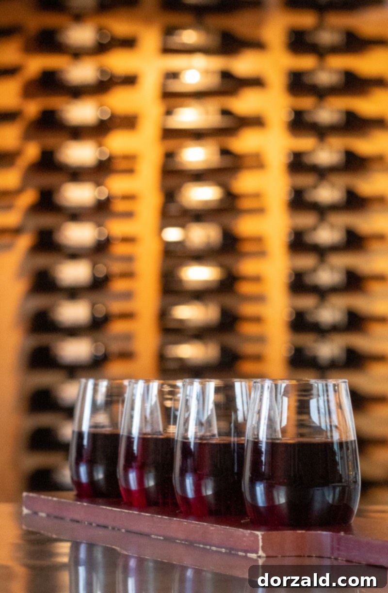 Selection of red wines in a flight, with a dimly lit wine cellar in the background at Checkered Past Winery