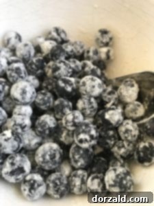 Vegan Banana Nut Blueberry Muffins 7 dairy-free banana nut blueberry muffin