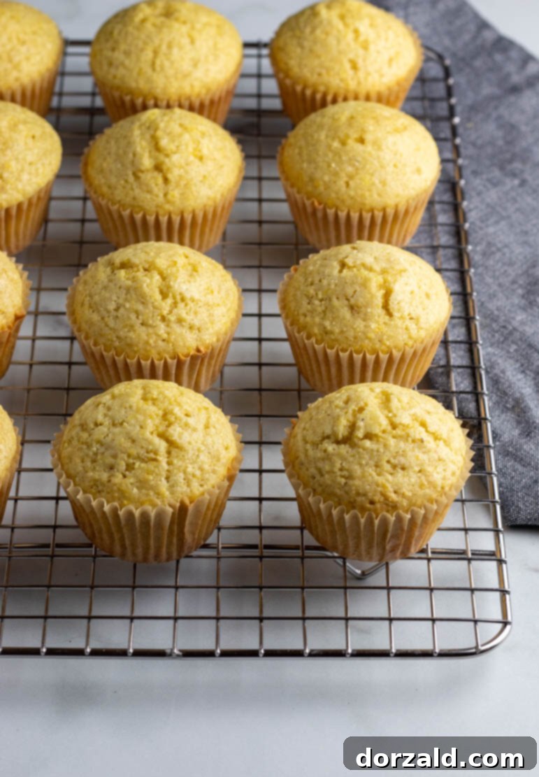 Delicious, easy dairy-free corn muffins using standard pantry ingredients, served warm.