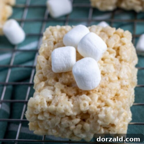 Gooey Dairy-Free Crispy Bites 9 Dairy-Free Rice Krispie Treats